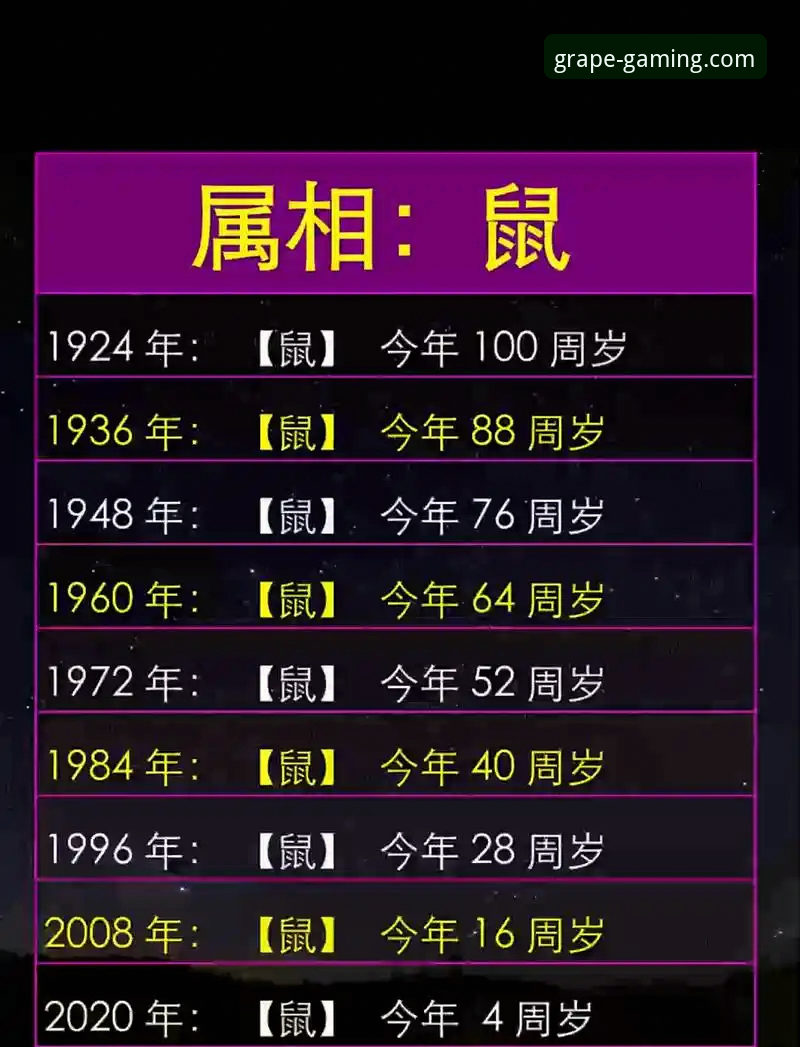 深度揭秘：XPT娱乐平台登录背后的安全机制与实战体验